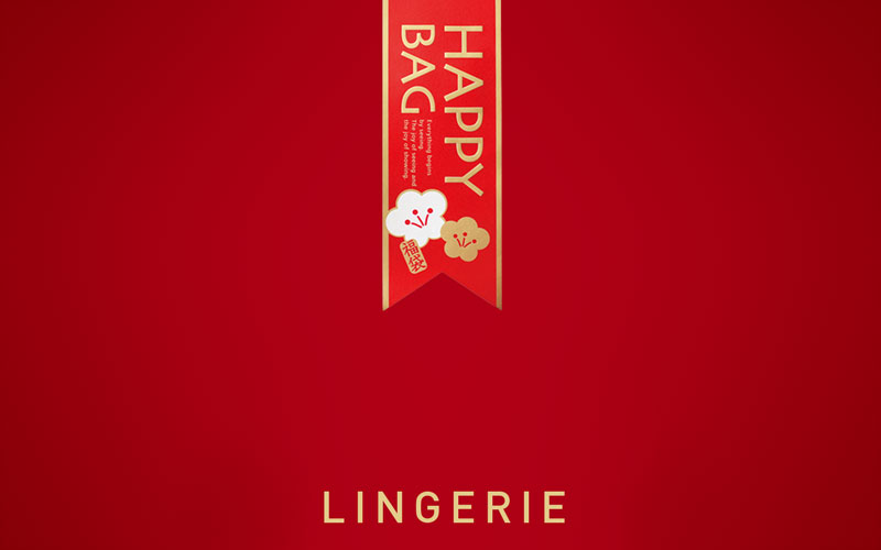 LINGERIE HAPPY BAG