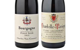 DOMAINE HUDELOT NOELLAT
