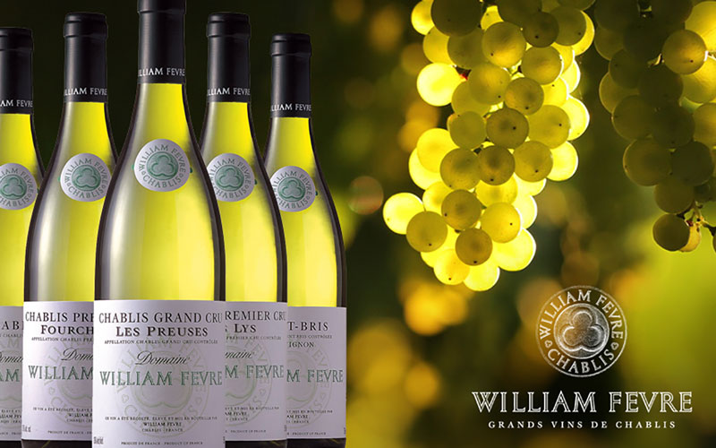 Domaine William Fevre