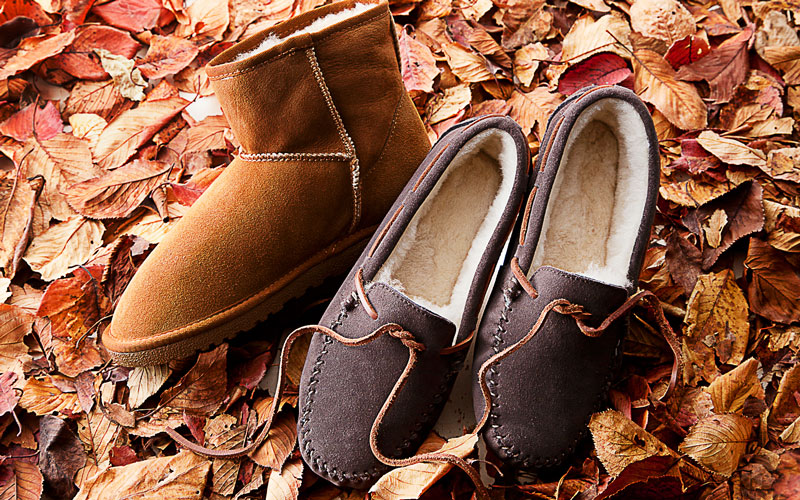 POMPADOUR SHOES