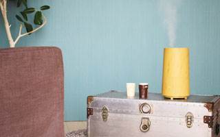 DIFFUSER & HOME GOODS