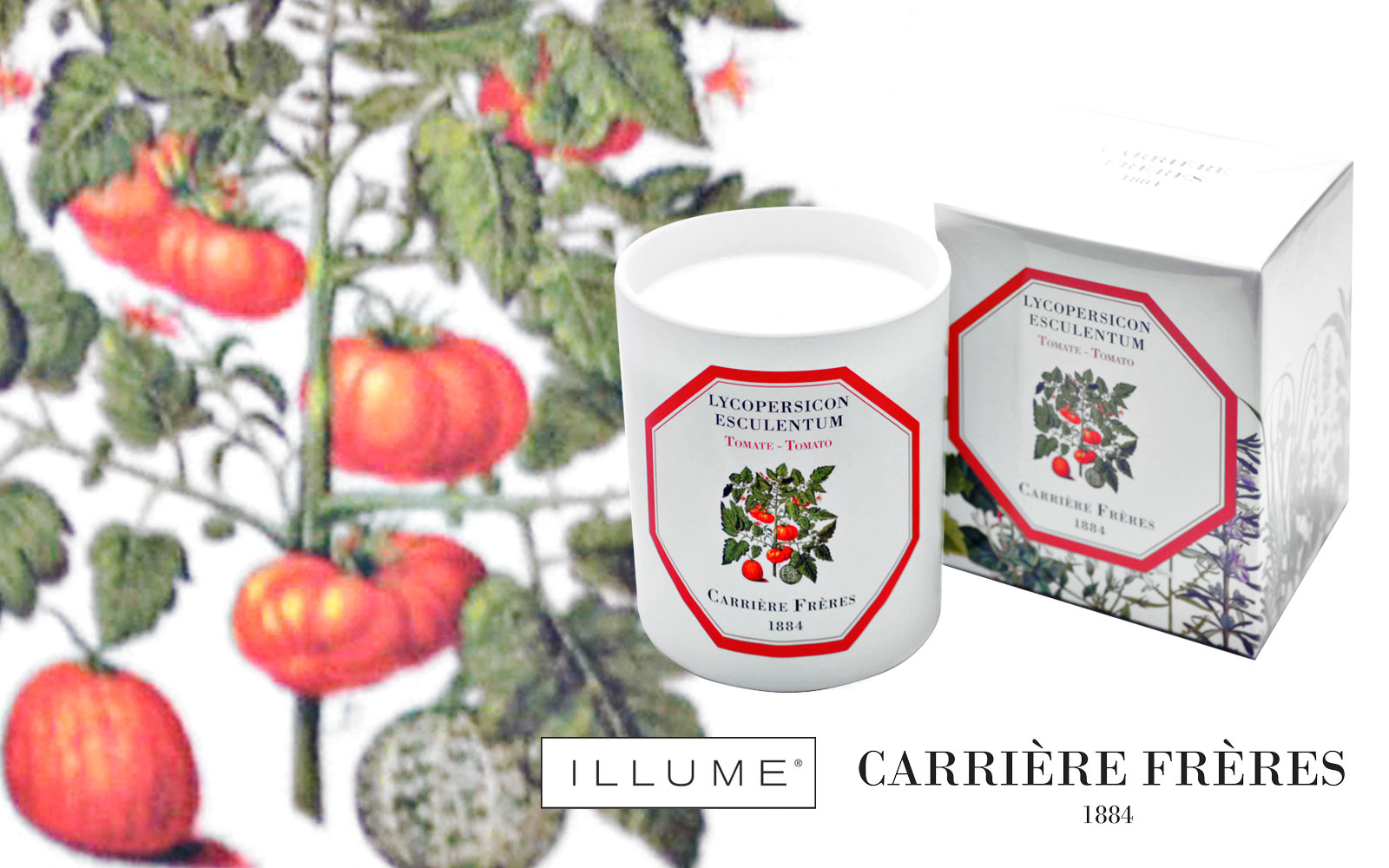 CARRIERE FRERES AND ILLUME　