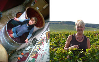 DOMAINE DENIS BERTHAUT