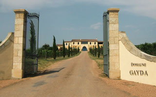 DOMAINE GAYDA