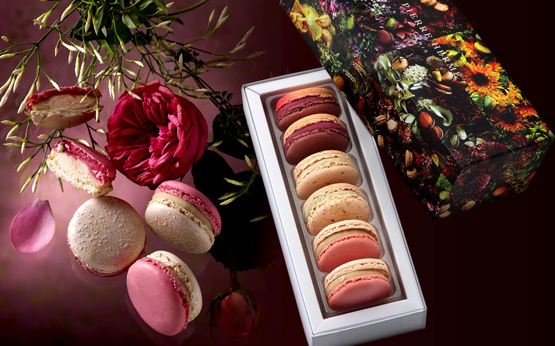 PIERRE HERMÉ PARIS