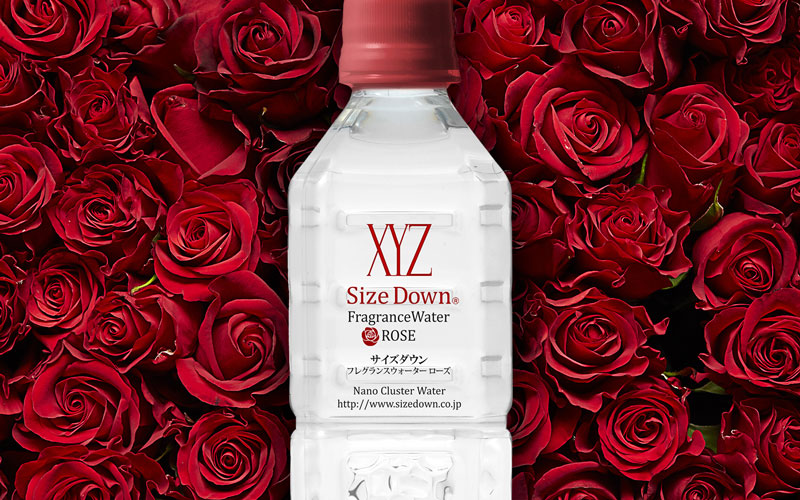 SIZE DOWN