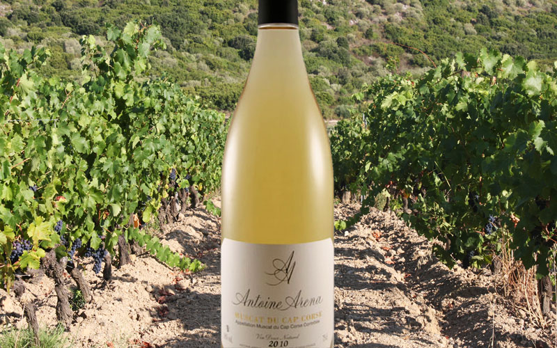 DOMAINE ANTOINE ARENA