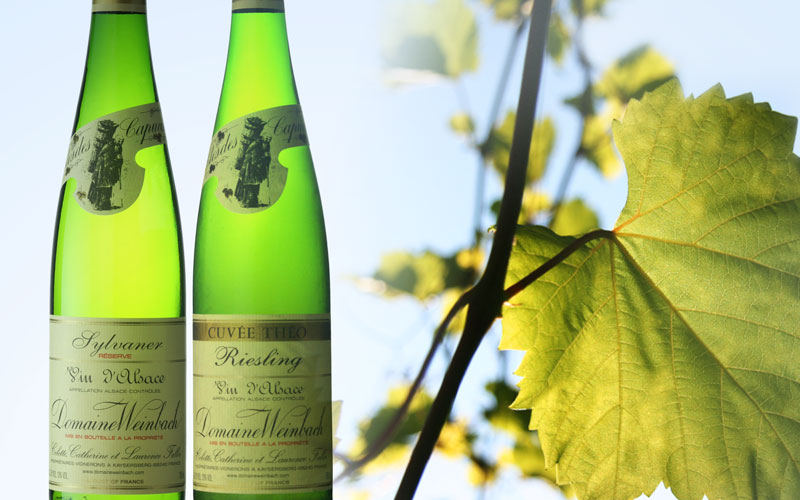Domaine Weinbach:Alsace