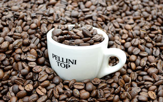 PELLINI