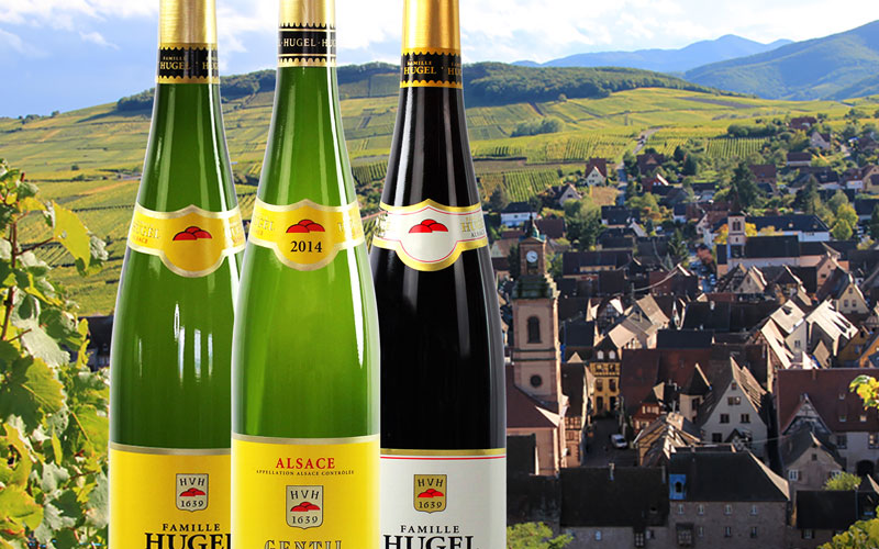 FAMILLE HUGEL