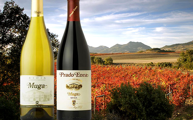 Bodegas Muga