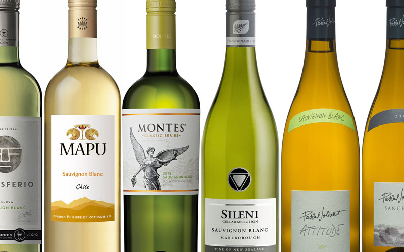 この夏に飲みたいSauvignon Blanc