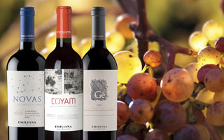 EMILIANA VINEYARDS