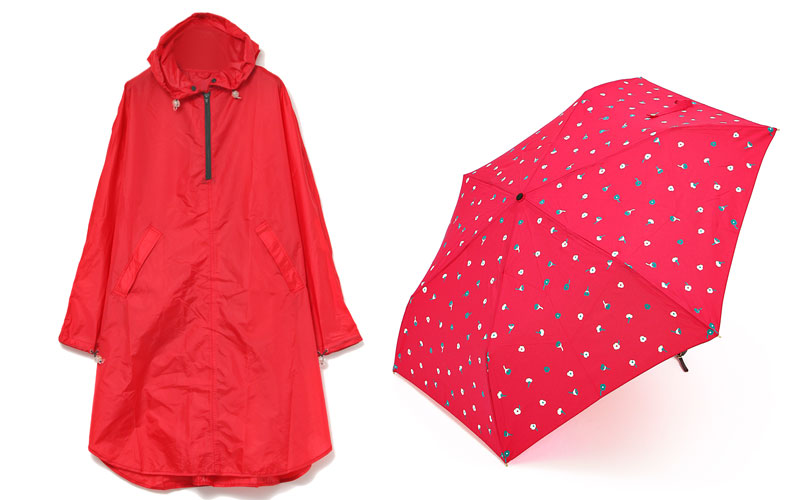 plus nico for women