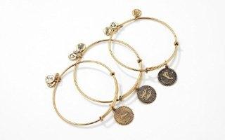 ALEX AND ANI