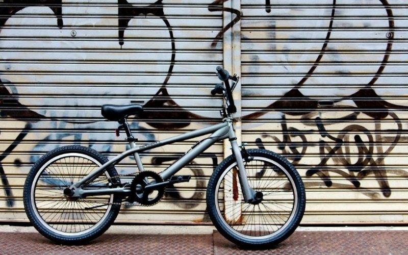 Raychell Bike