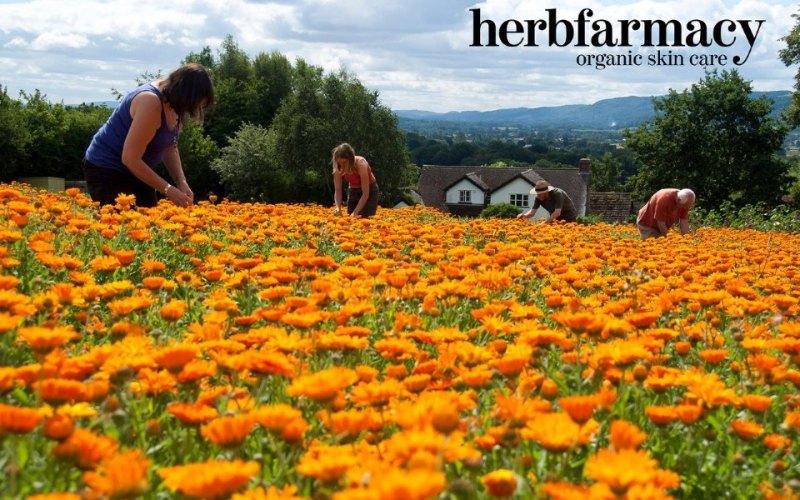 herbfarmacy