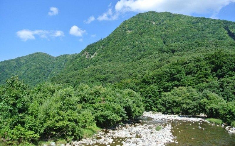 白神山地の水