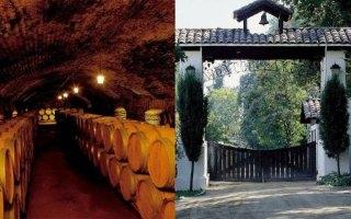 CONCHA Y TORO