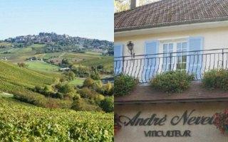 DOMAINE ANDRÉ NEVEU ET FILS