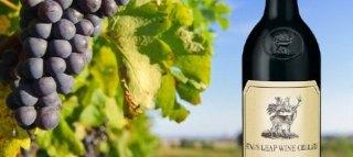STAG'S LEAP WINE CELLARS