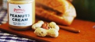 PEANUTS COMPANY