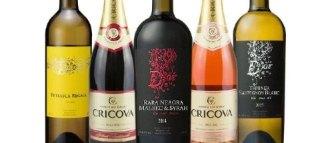MOLDOVA WINE