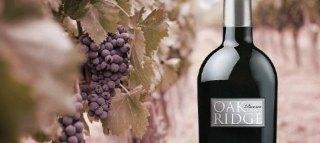 OAK RIDGE WINERY