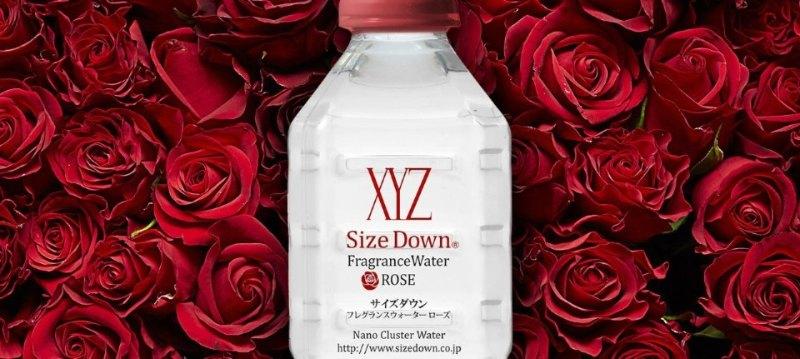 Size Down