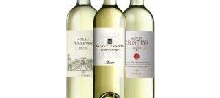 ANTINORI