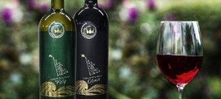 KRALJEVSKI VINOGRADI