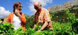 MICHEL & STEPHANE OGIER