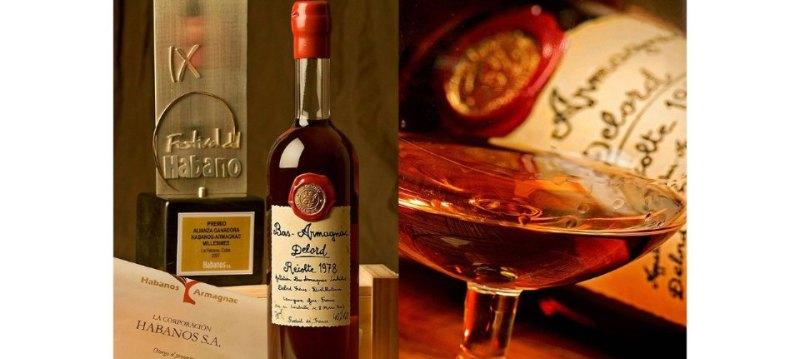 Armagnac & Calvados for Christmas