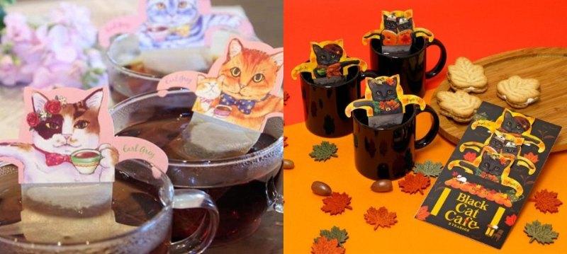 Cat Cafe
