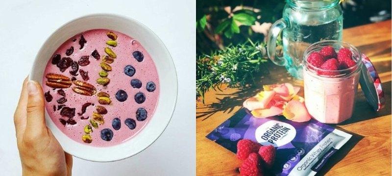 THE ORGANIC PROTEIN COMPANY