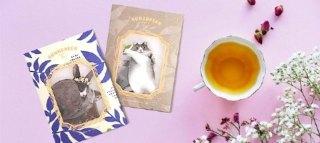 GONGDREEN TEA BAG