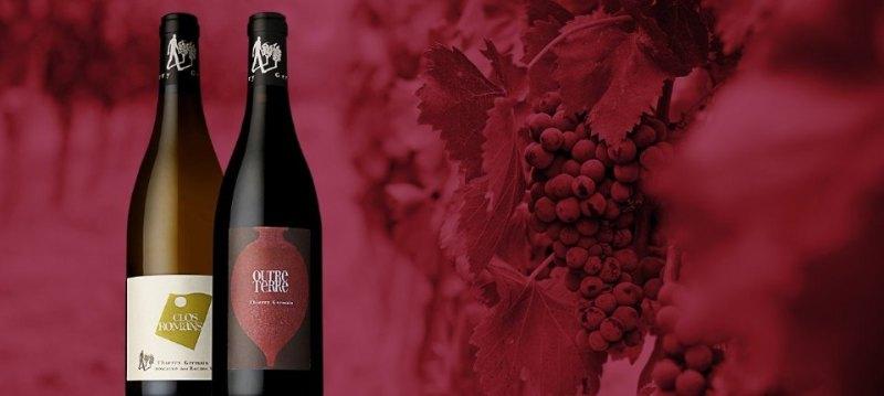 Domaine des Roches Neuves