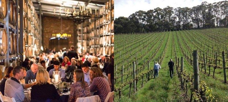Wirra Wirra Vineyards
