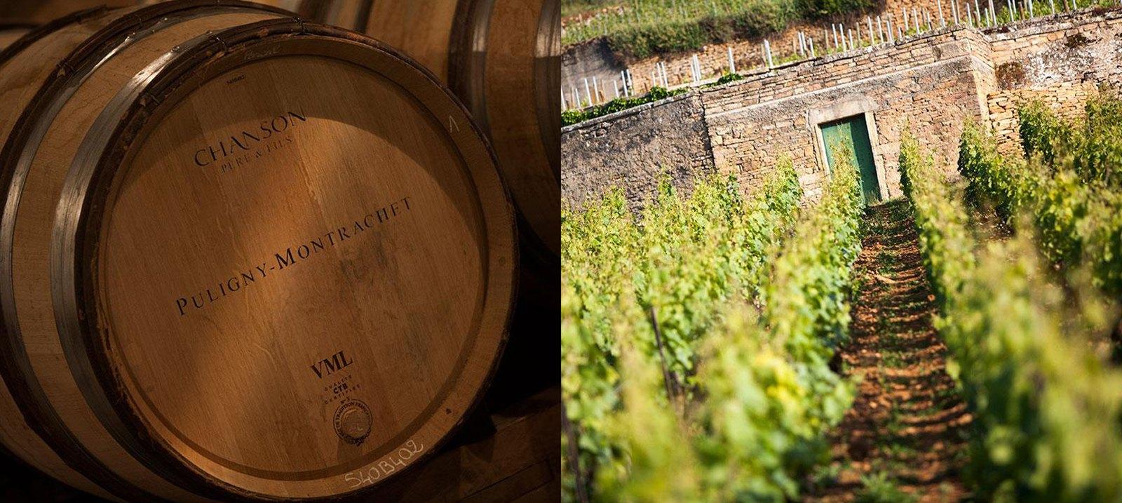 Domaine Chanson