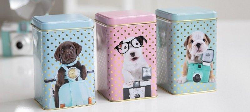 STUDIO PETS By Myrna