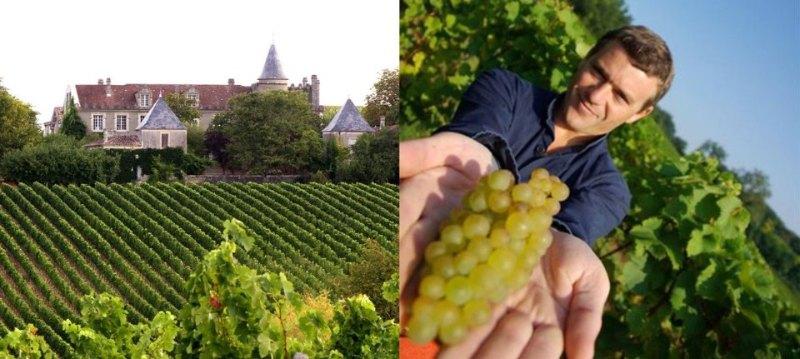 Bordeaux Wine Selection
