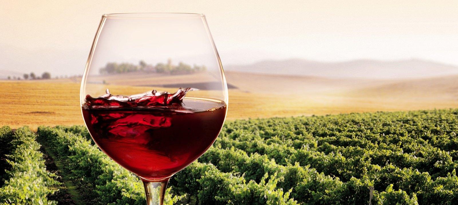 Millton Vineyards