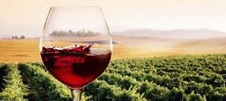 MILLTON VINEYARDS