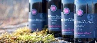 BOURGOGNE SPECIAL SELECTION