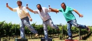 PISANO FAMILY VINEYARD