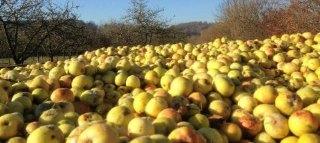 CLAQUE PEPIN