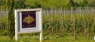 TENUTA S. LUCIA
