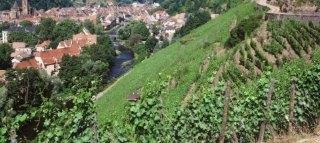 DOMAINE ZIND HUMBRECHT