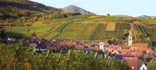 FAMILLE HUGEL