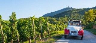 DOMAINE BARMES BUECHER